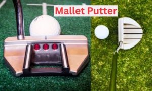 The design of mallet putter will aid the golf enthusiasts to choose the best-suited model.