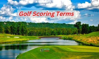 This image is the representative of golf scoring terms usually used for determine the individual golfer's swing score and also the golf terminology used in the golf course.