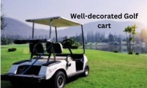 Golfers can decorate their golf cart as their need with advanced gadgets.