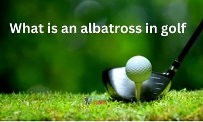 All golfers must have knowledge about What an albatross in golf mean because of improving their personal golf score with the professional golf status level.