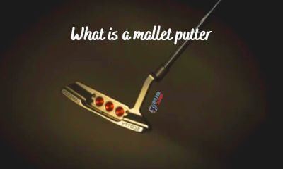 Every beginner golfer must know what is a mallet putter before choose this advanced design of the golf club.