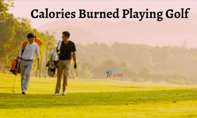 Every passionate golfer also consider the issue of calories burned playing golf